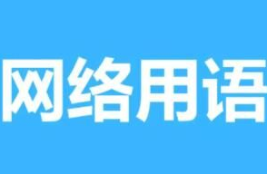 我是玫瑰千杯不醉下一句是什么 我是玫瑰千杯不醉下一句详情