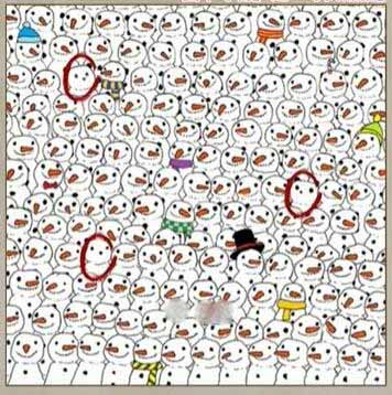 看不见的真相寻找熊猫怎么通关 看不见的真相寻找熊猫通关攻略详情