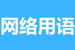 初鹰未来是什么意思 初鹰未来梗含义