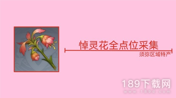 原神3.6版本悼灵花采集路线是什么 原神3.6版本悼灵花采集路线分享