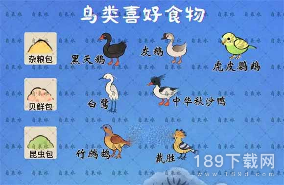 桃源深处有人家鸟类喜爱食物是什么 桃源深处有人家鸟类喜爱食物一览