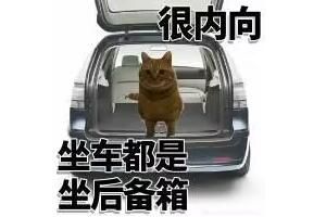 很内向是什么梗详情 很内向梗含义