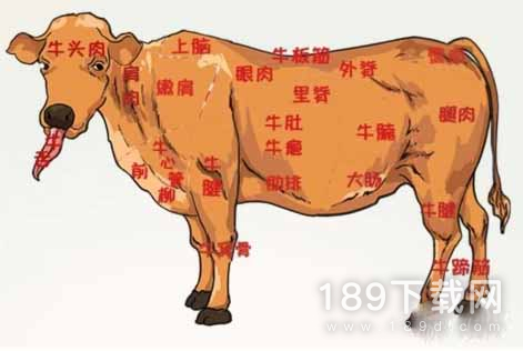 全民汉字王浑身都是宝怎么通关 全民汉字王浑身都是宝通关攻略一览