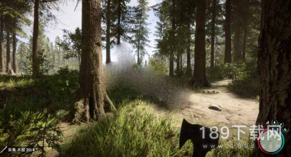 森林之子右下角状态栏功能是什么 森林之子右下角状态栏功能介绍