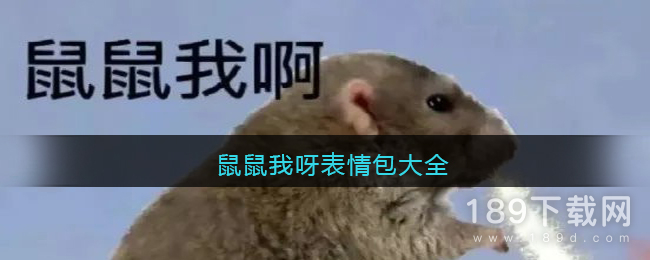 鼠鼠我呀表情包汇总 鼠鼠我呀表情包合集
